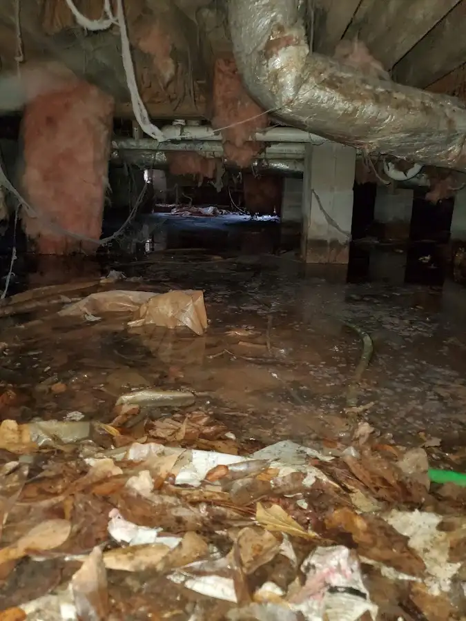 Crawl space flood assessment for Leak Detection & Repair in Spanish Fork